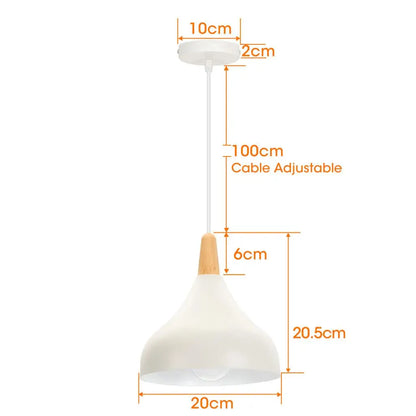 Vintage Metal Drop Ceiling Light