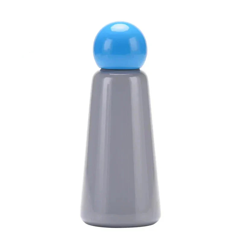 Insulated Stainless Steel Water Bottle