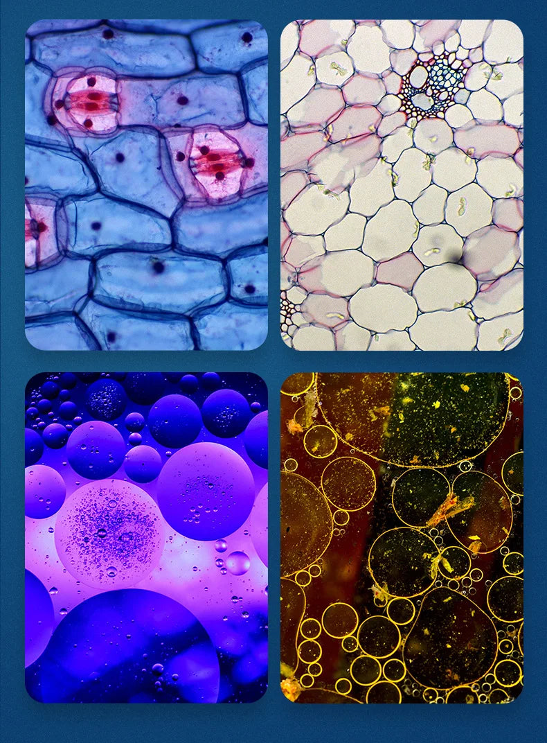 Compact HD Travel Microscope