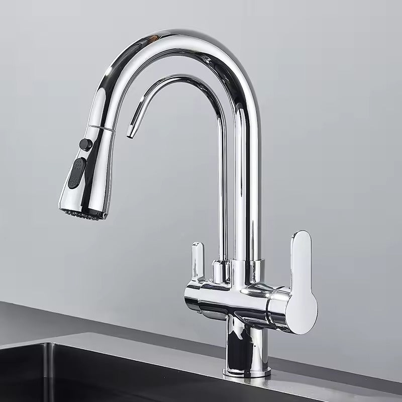 Black Kitchen Faucet with Pull-Out Spray and Filter - Cofik