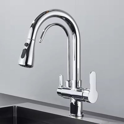 Black Kitchen Faucet with Pull-Out Spray and Filter - Cofik