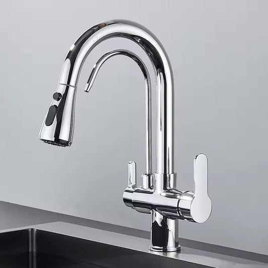Black Kitchen Faucet with Pull-Out Spray and Filter - Cofik