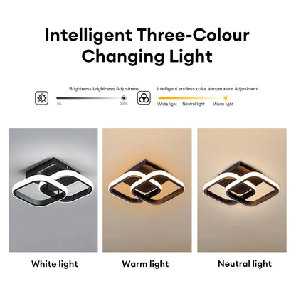Stylish Metal Ceiling Light Fixture