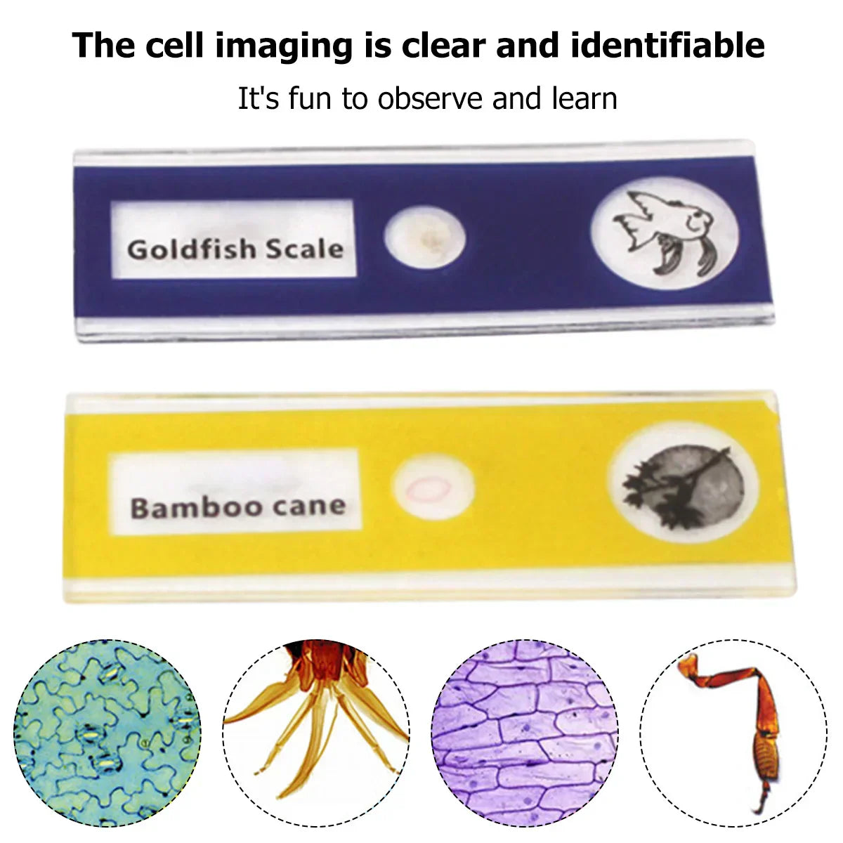 Compact HD Travel Microscope