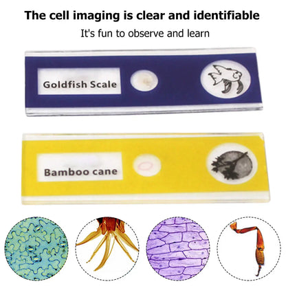 Compact HD Travel Microscope