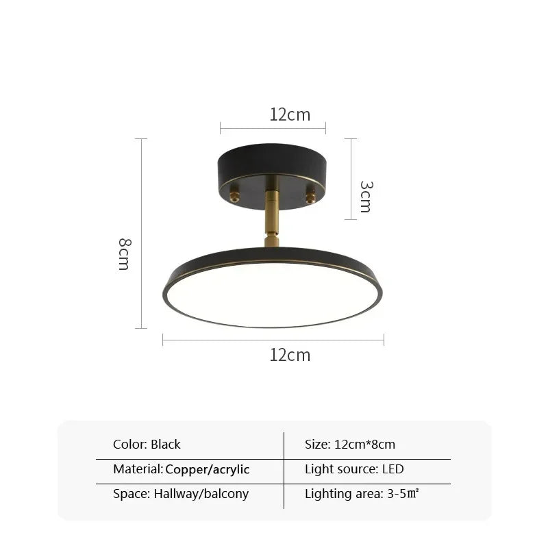Simple Adjustable LED Ceiling Lamp