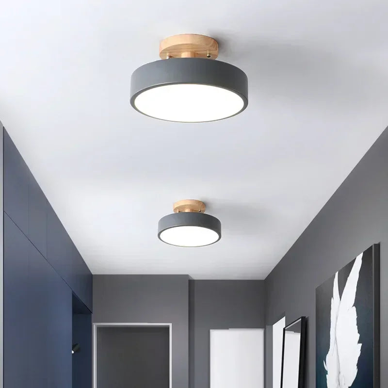 Contemporary LED Round Ceiling Light Fixture