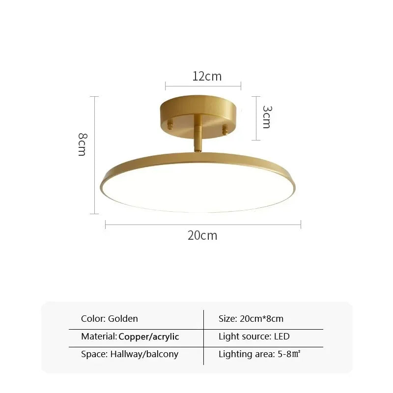 Simple Adjustable LED Ceiling Lamp