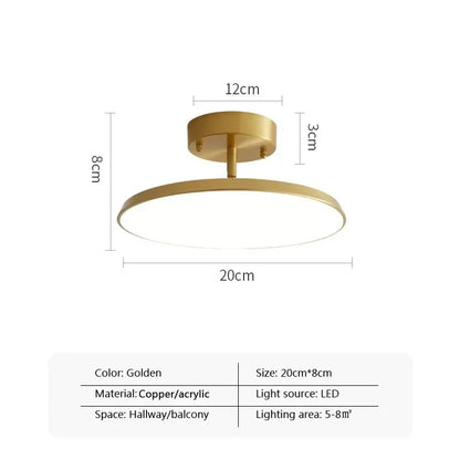 Simple Adjustable LED Ceiling Lamp