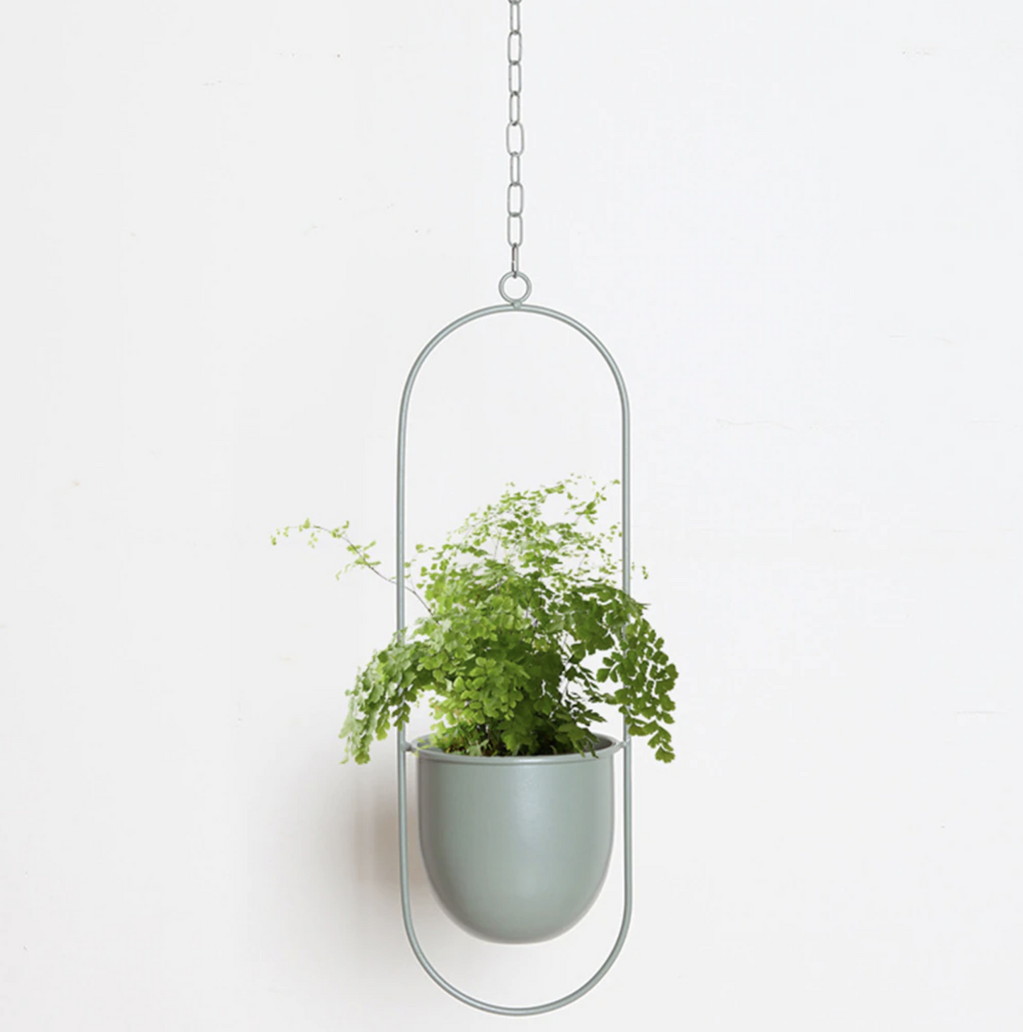 Stylish Metal Wall Ceiling Plant Hanger