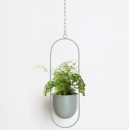 Stylish Metal Wall Ceiling Plant Hanger