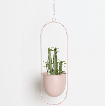 Stylish Metal Wall Ceiling Plant Hanger