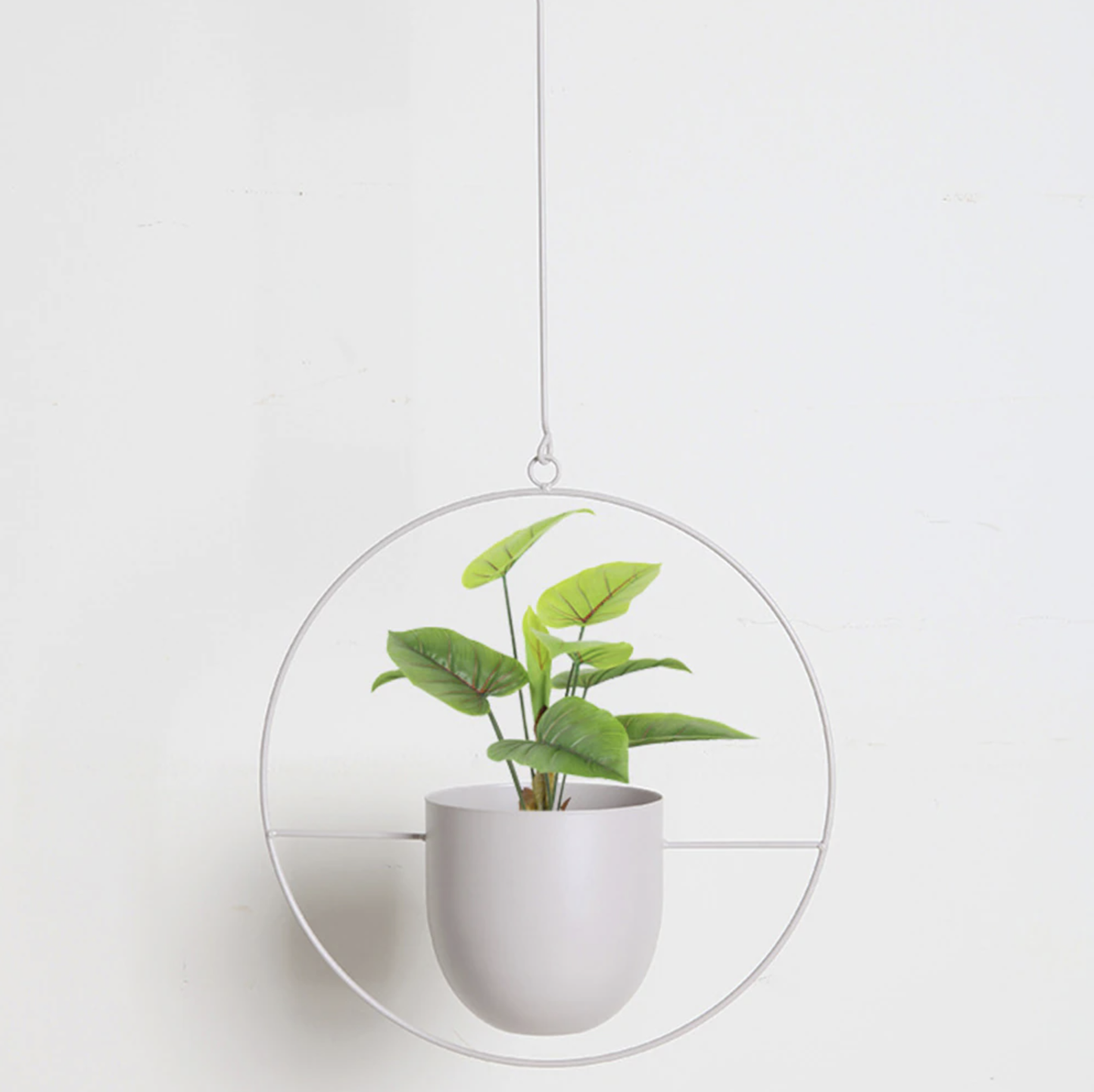 Decorative Metal Wall Planter Holder