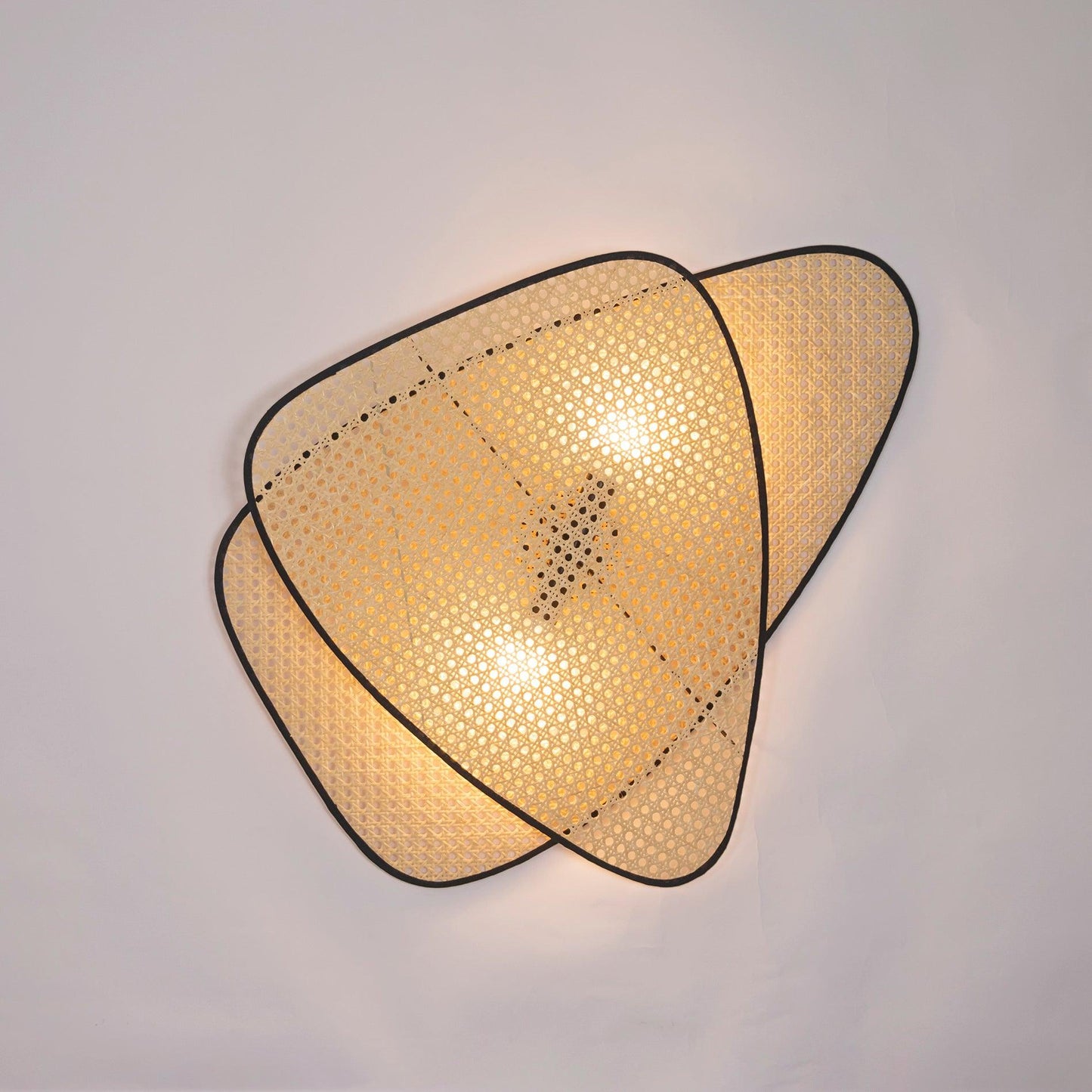 Wall Mount Adjustable Sconce Light Fixture