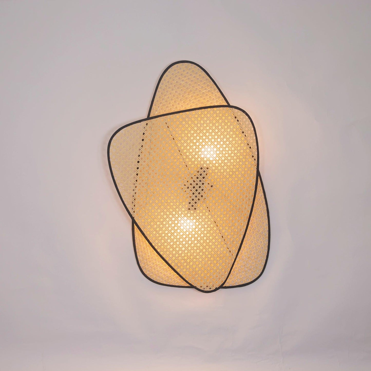 Wall Mount Adjustable Sconce Light Fixture