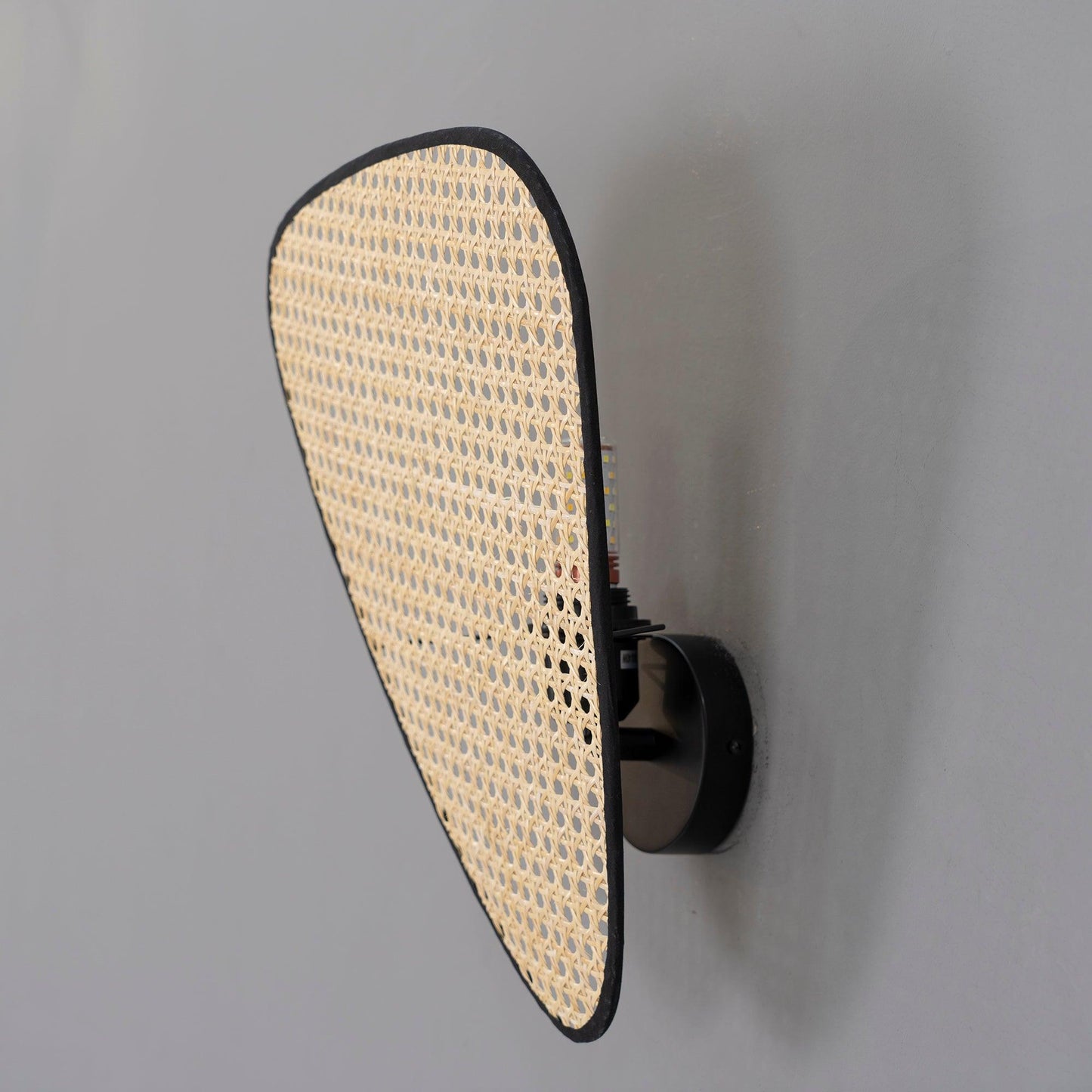 Wall Mount Adjustable Sconce Light Fixture