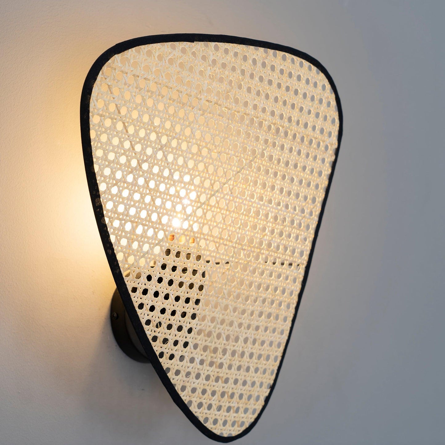 Wall Mount Adjustable Sconce Light Fixture