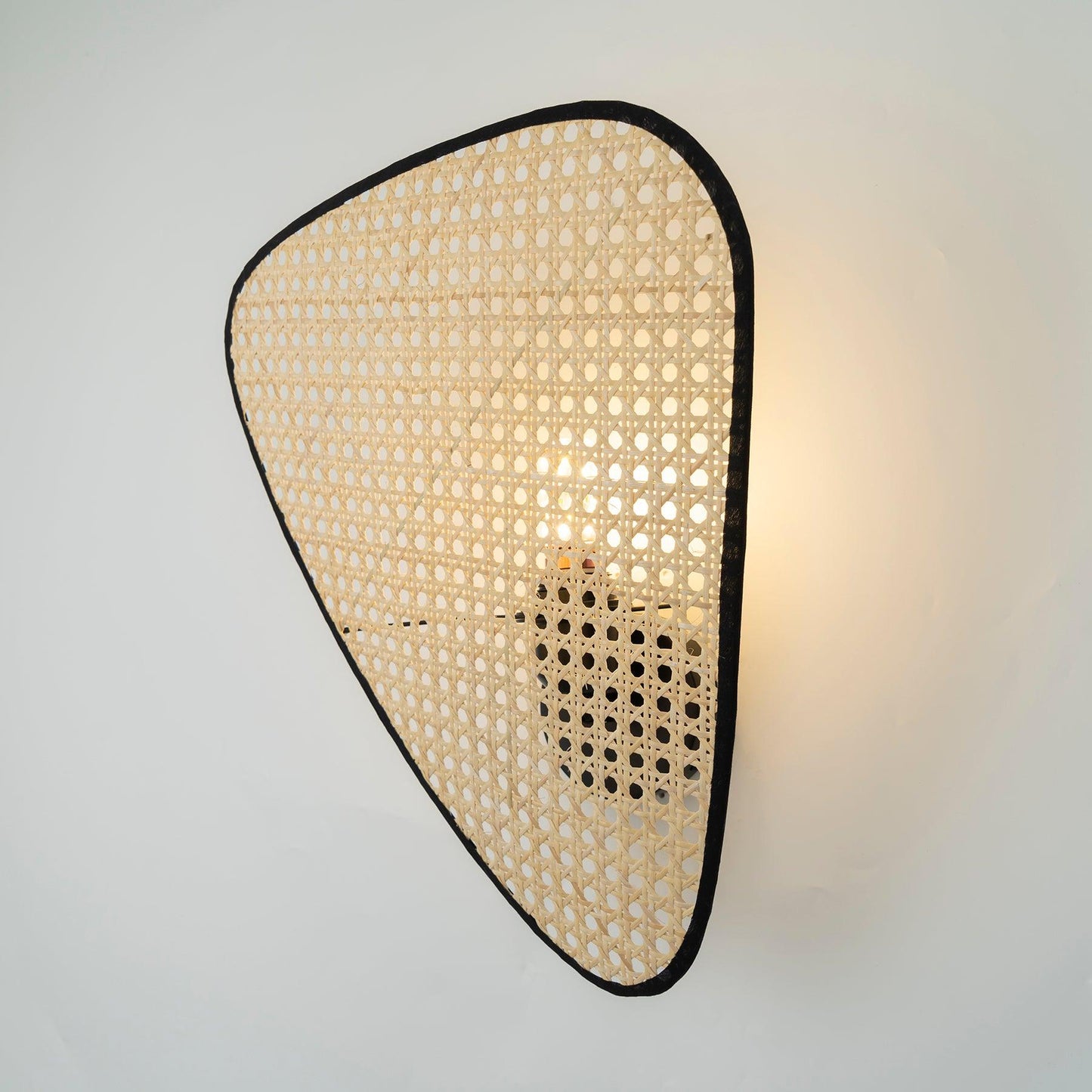 Wall Mount Adjustable Sconce Light Fixture