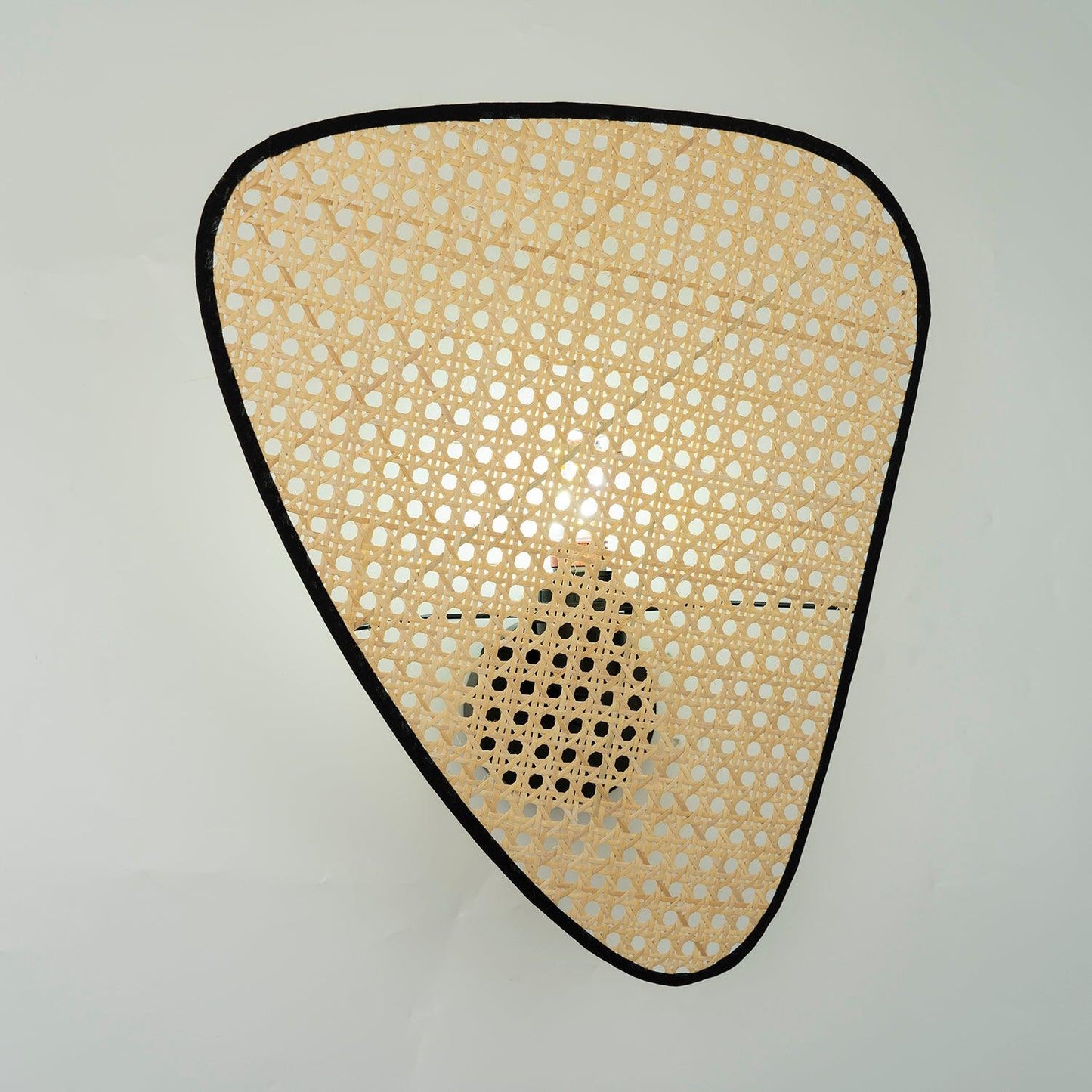 Wall Mount Adjustable Sconce Light Fixture
