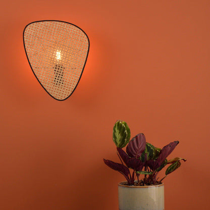 Wall Mount Adjustable Sconce Light Fixture