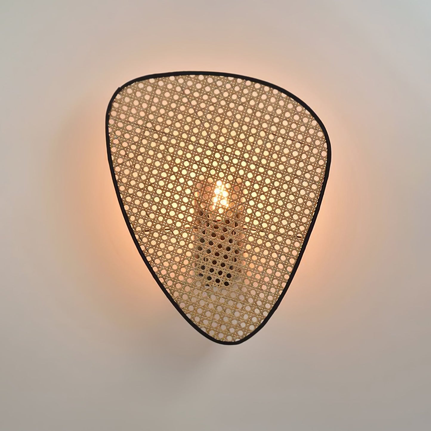 Wall Mount Adjustable Sconce Light Fixture