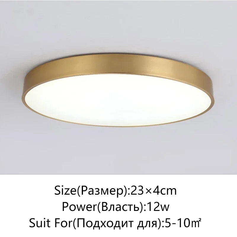 Stylish LED Hall Ceiling Lamp - Elegant Gold Round