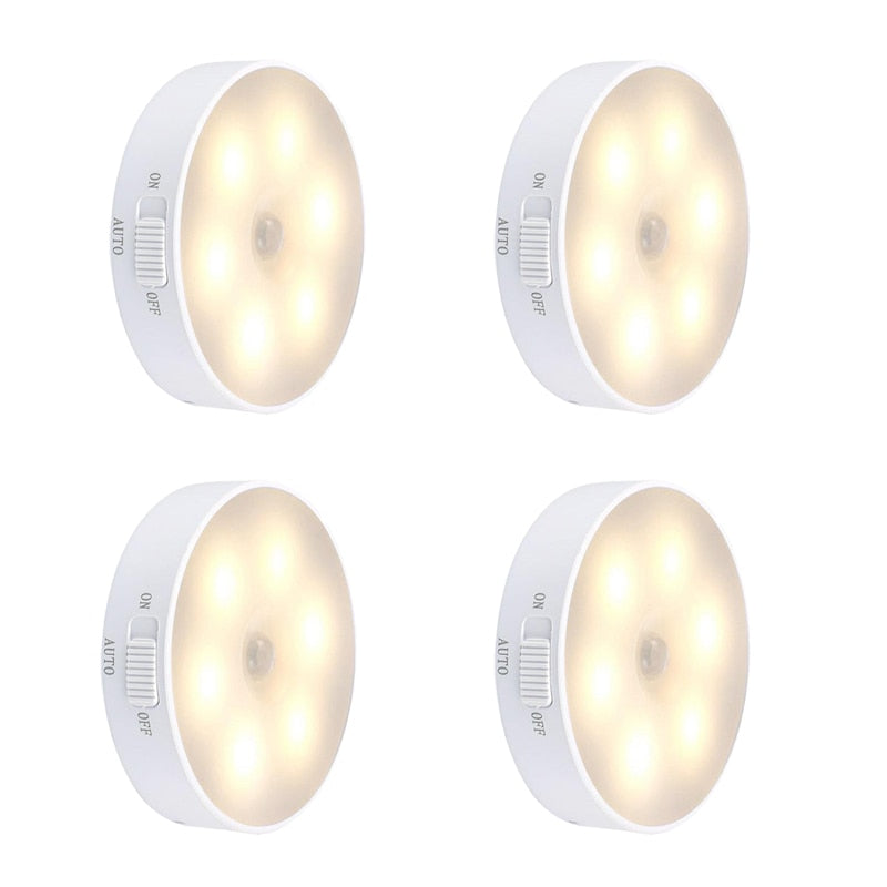Compact Automatic LED Night Light