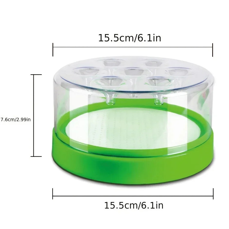 Natural Fly Catcher Trap Indoor Outdoor