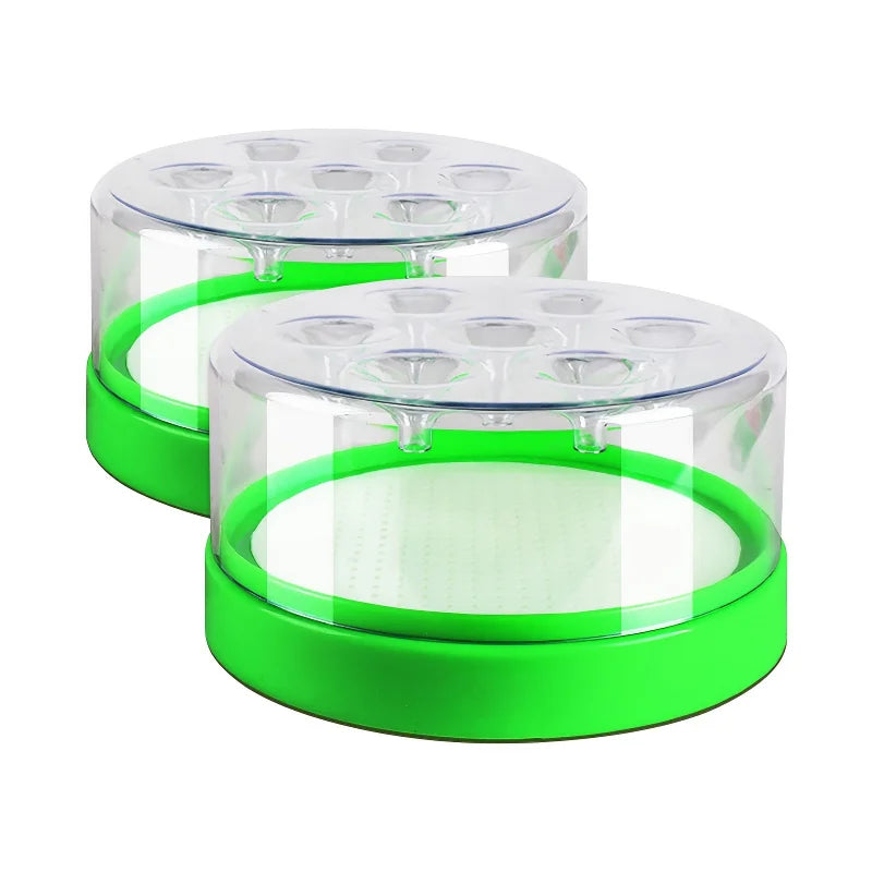 Natural Fly Catcher Trap Indoor Outdoor