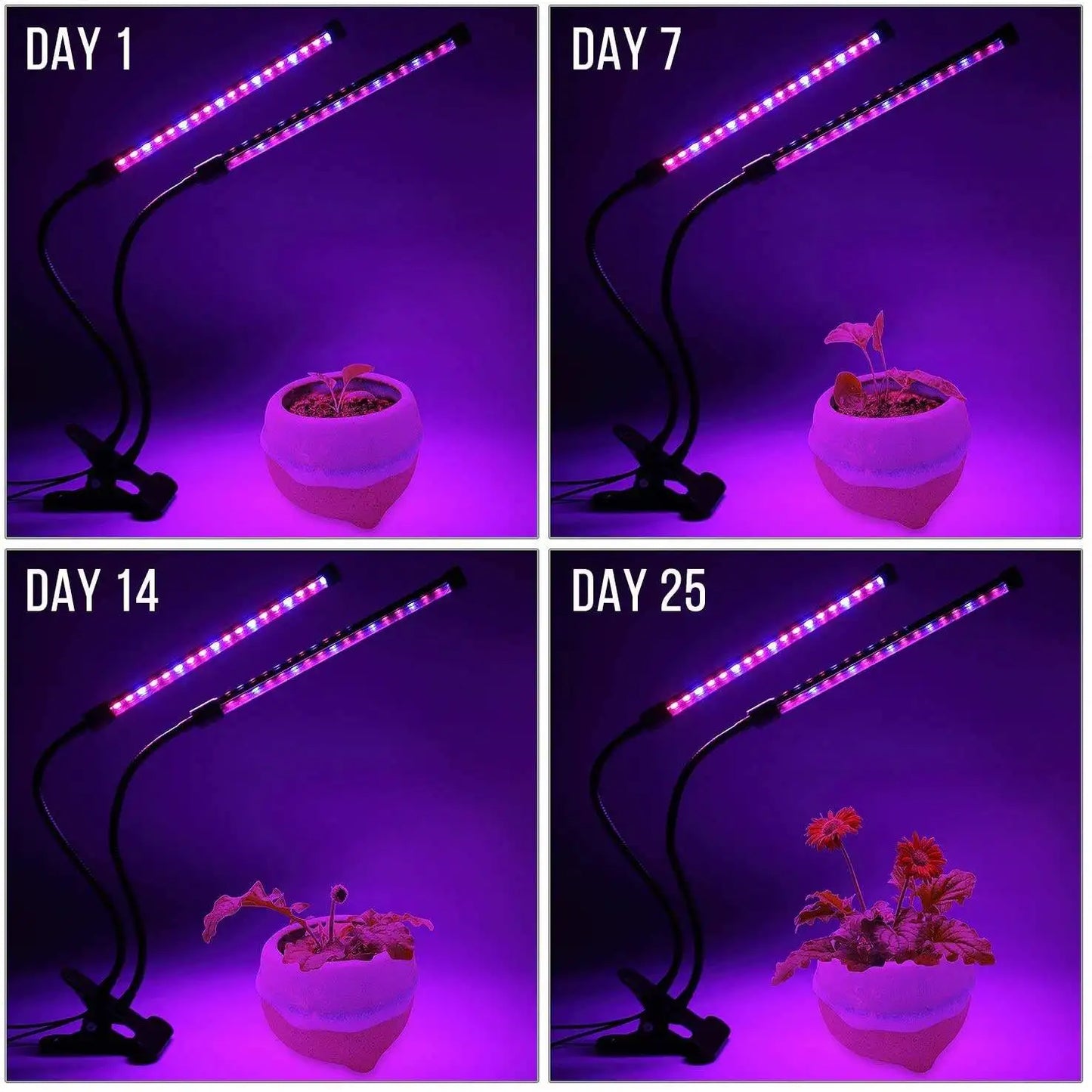 Smart LED Grow Lamp with Adjustable Timer