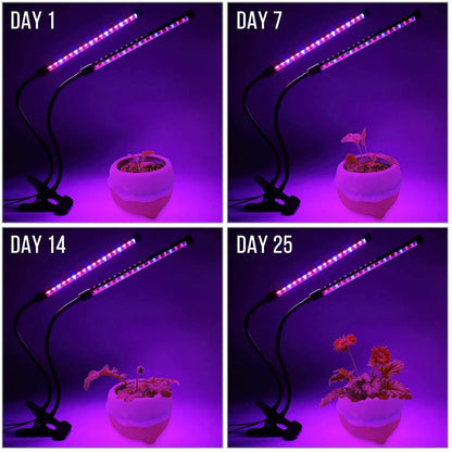 Smart LED Grow Lamp with Adjustable Timer