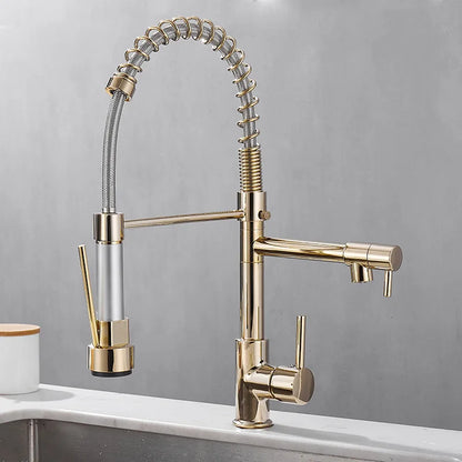 Premium Double Handle Kitchen Faucet - Cofik