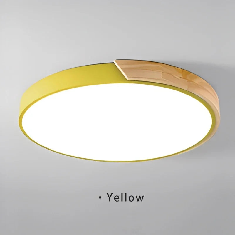 Simple Round LED Ceiling Lamp