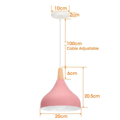 Vintage Metal Drop Ceiling Light