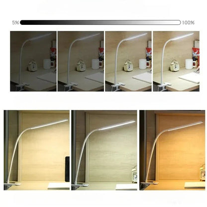 Versatile LED Desk Lamp with Adjustable Arm