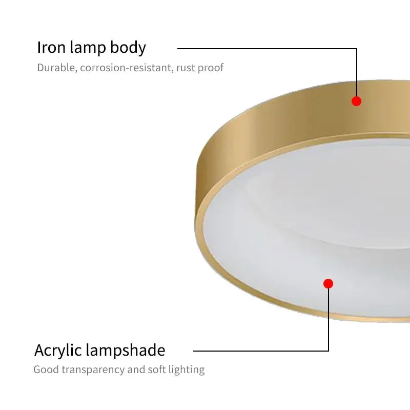 Stylish LED Flush Mount Ceiling Lamp