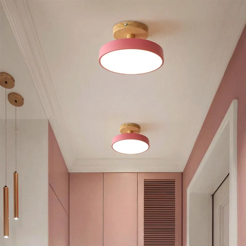 Elegant LED Ceiling Light Fixture