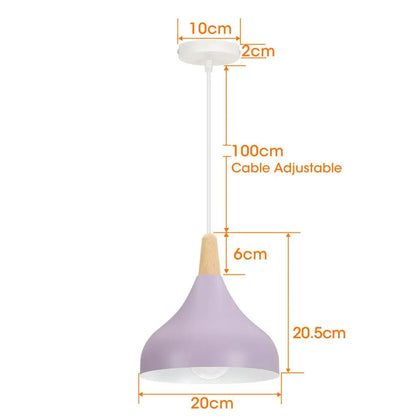Vintage Metal Drop Ceiling Light - Cofik
