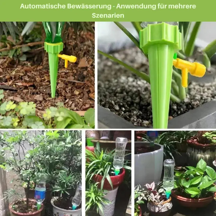 Easy Plant Watering Spike for Indoor Plants