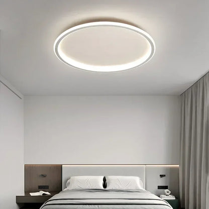 Stylish LED Ceiling Lamp Home Lighting