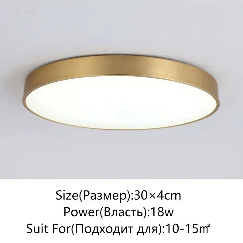 Stylish LED Hall Ceiling Lamp - Elegant Gold Round