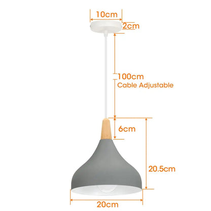 Vintage Metal Drop Ceiling Light