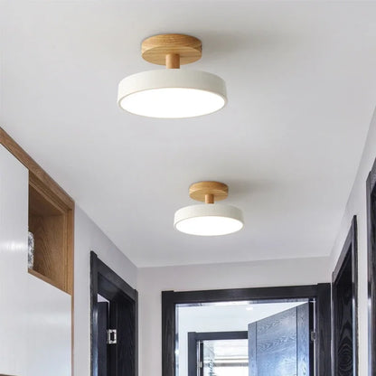 Elegant LED Ceiling Light Fixture