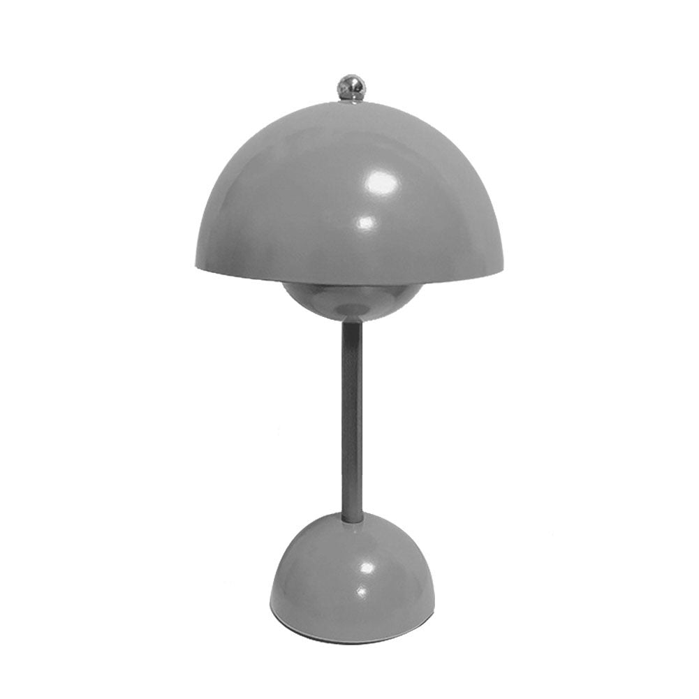 Sleek Metal Desk Lamp 220V