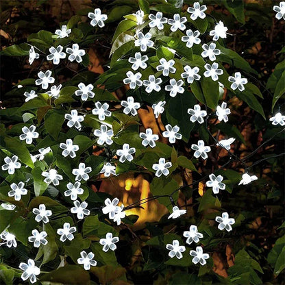 Outdoor Solar Fairy Lights 20-100 LEDs Warm White RGB