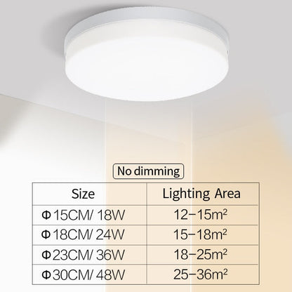 Elegant Home Modern LED Ceiling Lamp