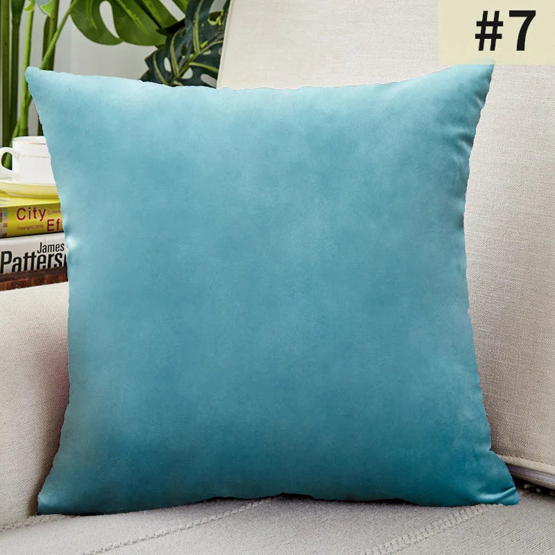 Soft Plush Pillow Cover for Home Decor