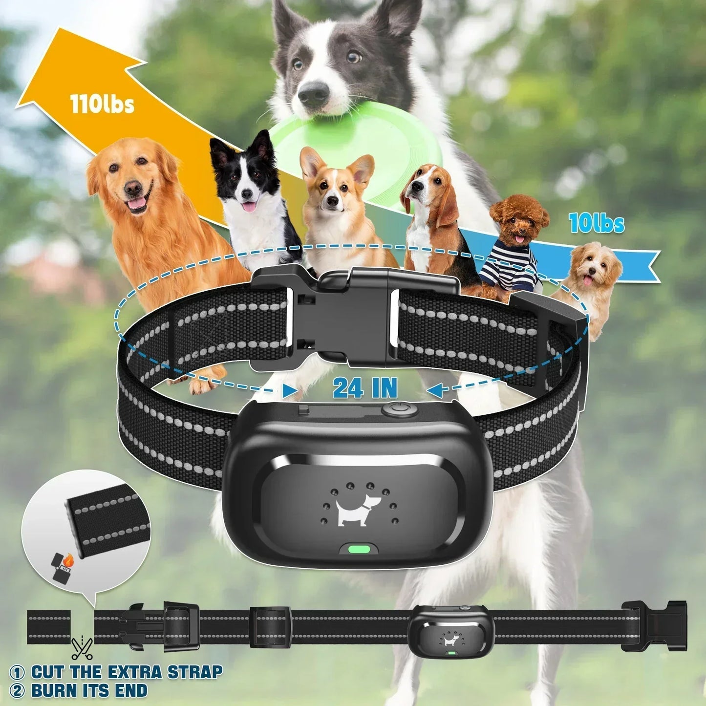 Wireless Pet Training Collar – Sound Vibe Alert