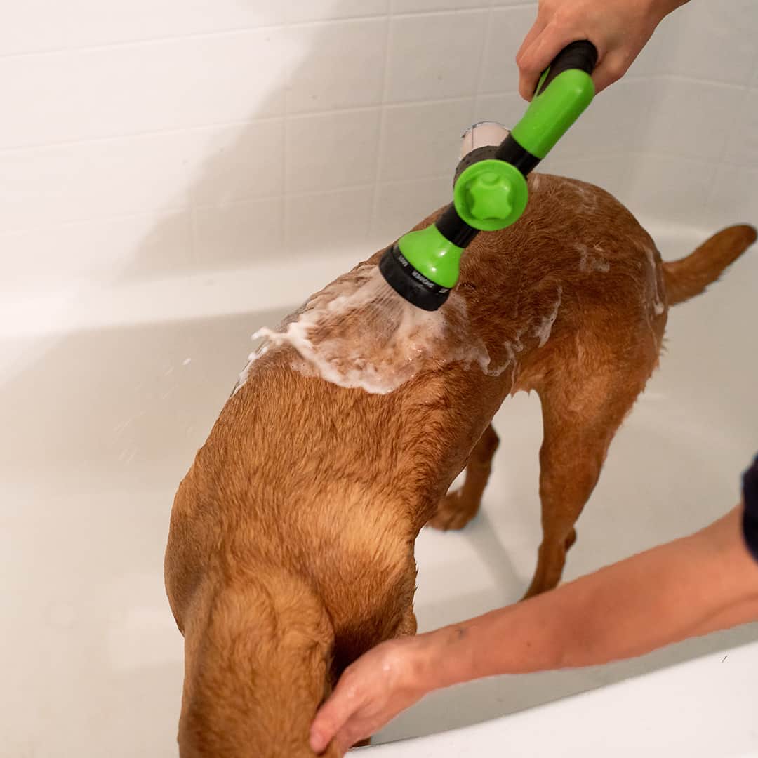 Easy Pet Washing System