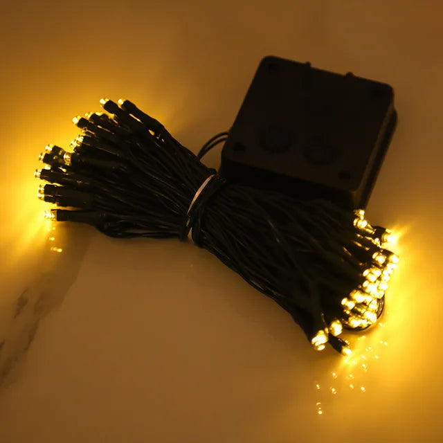 Pink Floral String Lights
